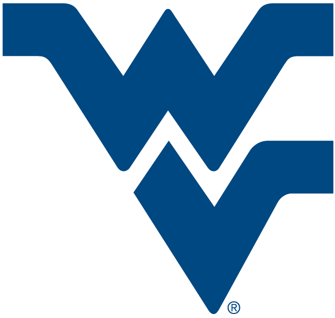 West Virginia Mountaineers 1980-Pres Alternate Logo v5 iron on transfers for clothing